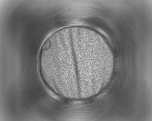 X0000068261467200605121807