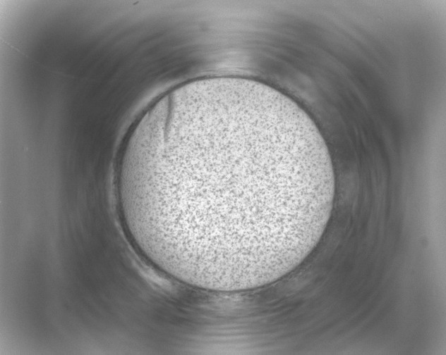 X0000068261470200605121807