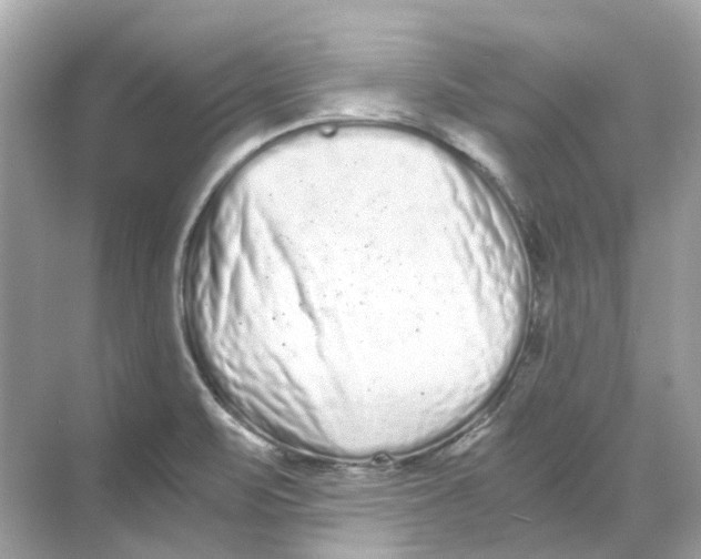 X0000068261471200605121807