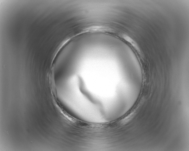 X0000068261473200605121807