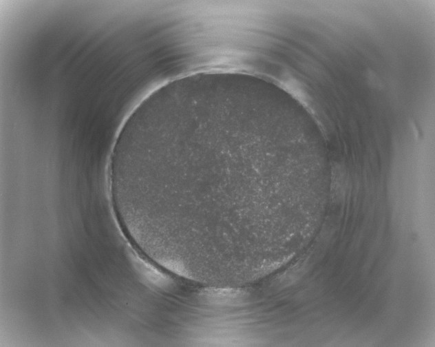 X0000068261474200605121807