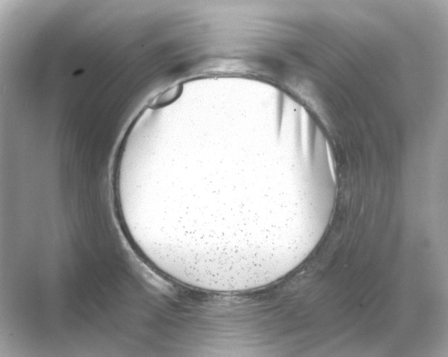 X0000068261475200605121807