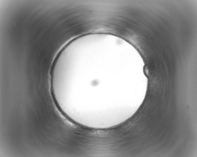 X0000068261476200605121807