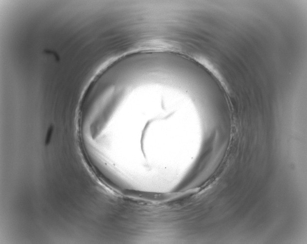 X0000068261477200605121807