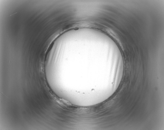 X0000068261481200605121807