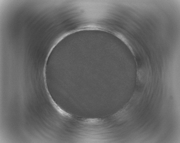 X0000068261482200605121807