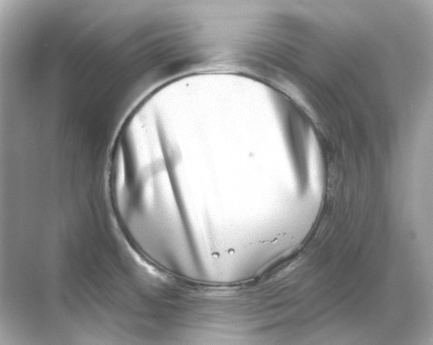 X0000068261484200605121807