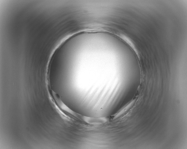 X0000068261485200605121807