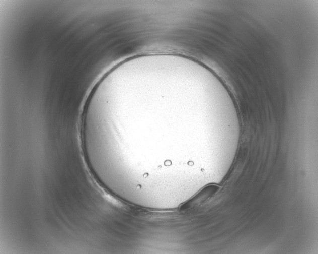 X0000068261486200605121807