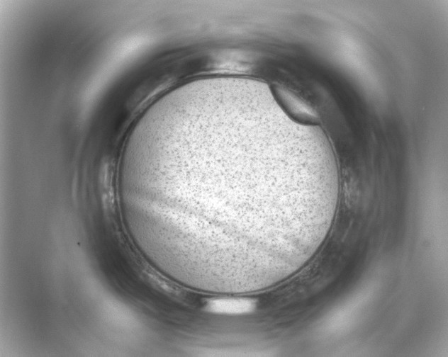 X0000068261487200605121807