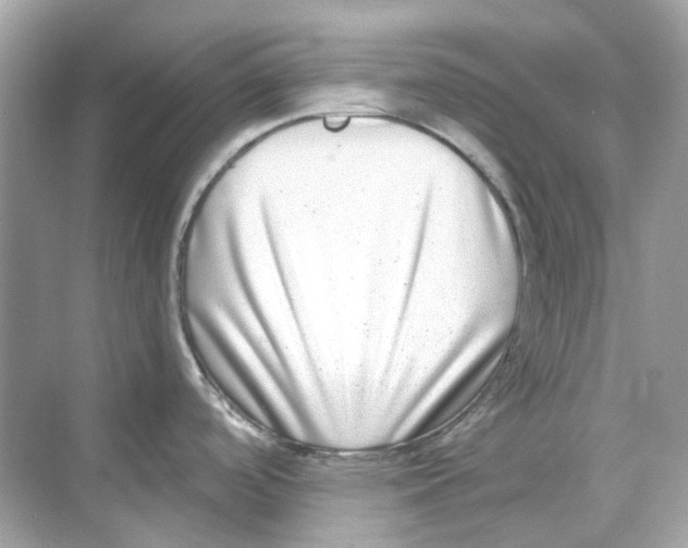 X0000068261488200605121807