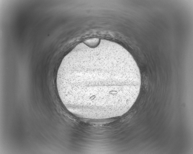 X0000068261489200605121806