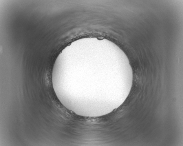 X0000068261490200605121806