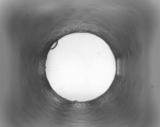 X0000068261491200605121806