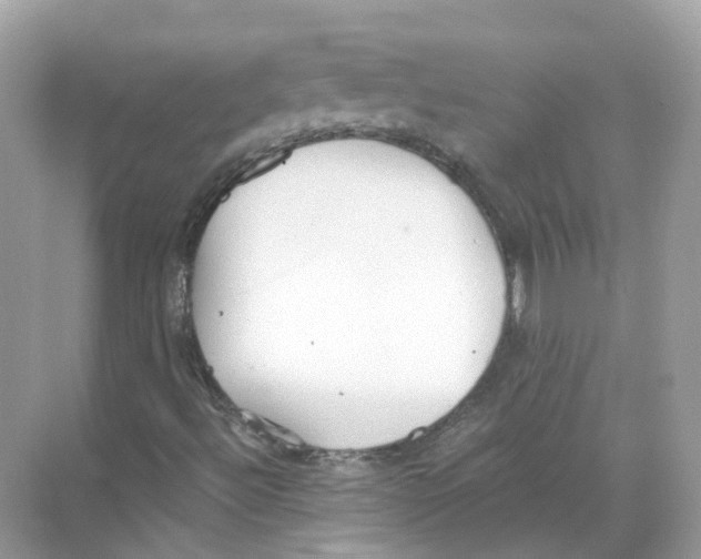 X0000068261492200605121806