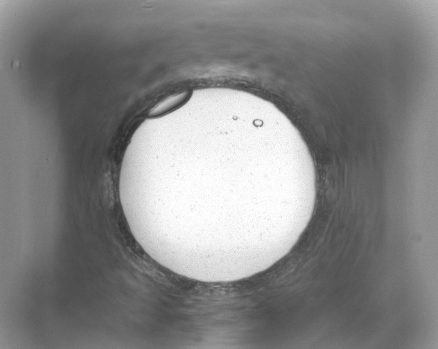 X0000068261493200605121806