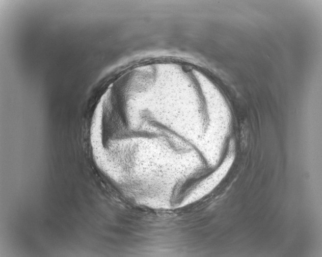 X0000068261494200605121806