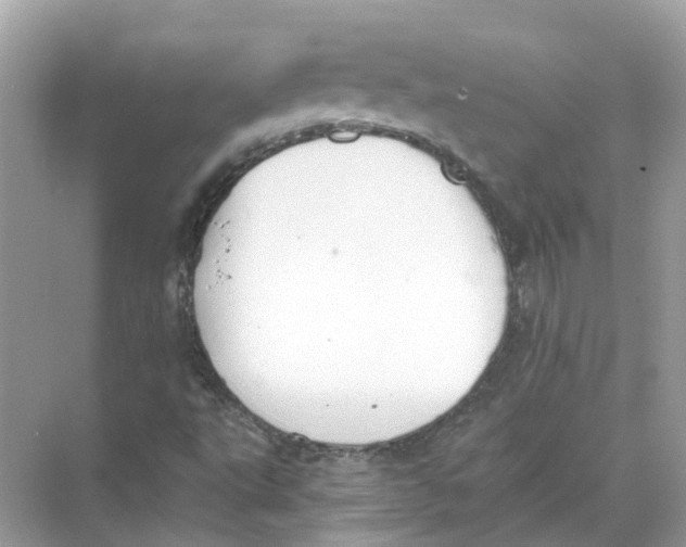 X0000068261495200605121806