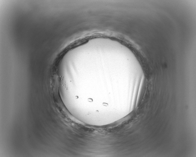 X0000068261496200605121806