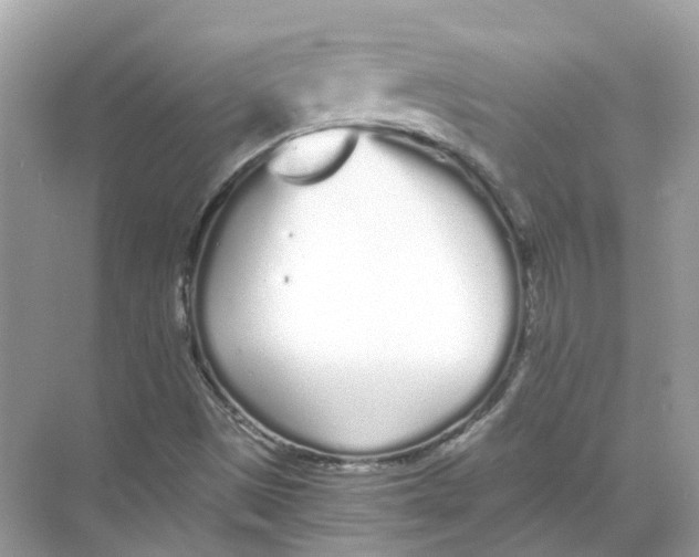 X0000068261497200605121806