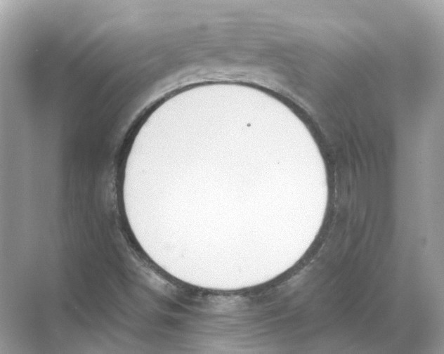 X0000068261498200605121806