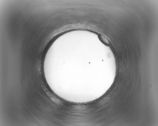 X0000068261499200605121806