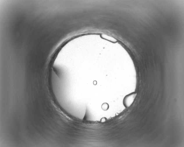 X0000068261502200605121806