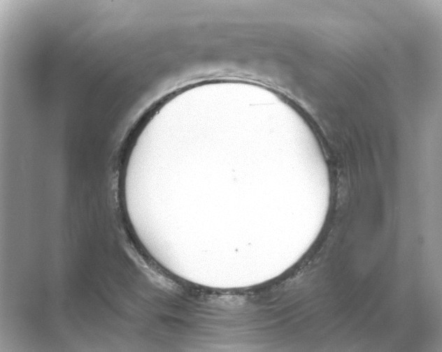 X0000068261503200605121806