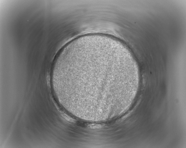 X0000068261505200605121806