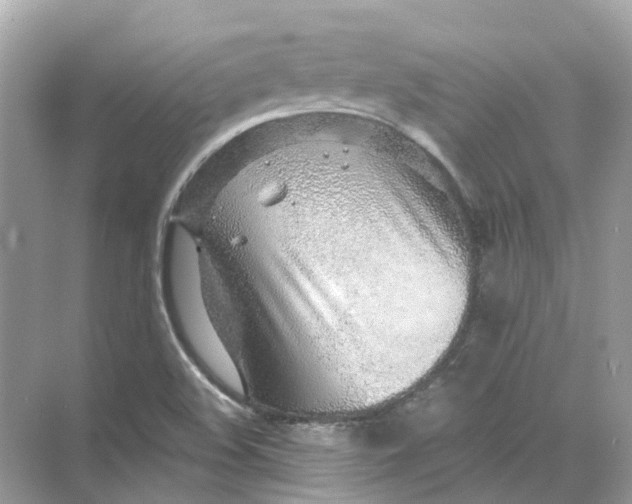 X0000068261508200605121806