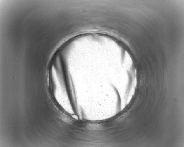 X0000068261509200605121806