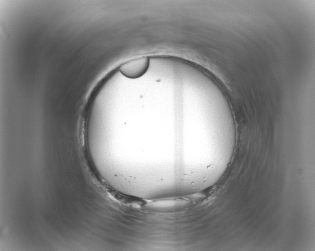 X0000068261510200605121806