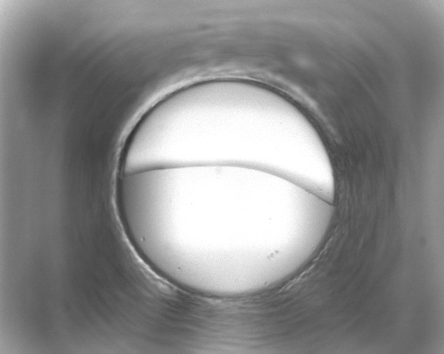 X0000068261512200605121807