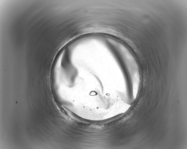 X0000068261513200605121807