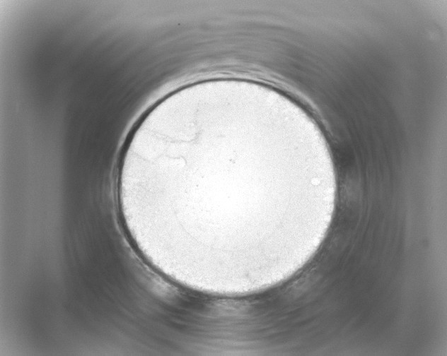 X0000068261514200605121807