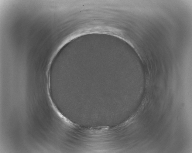 X0000068261515200605121807