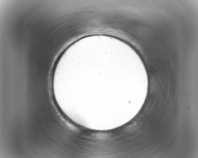 X0000068261517200605121807