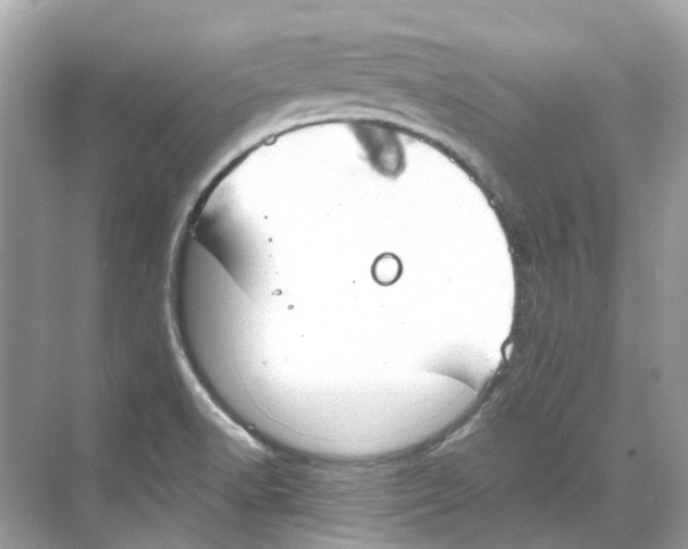 X0000068261518200605121807