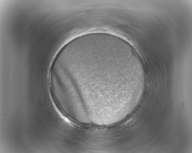 X0000068261519200605121807