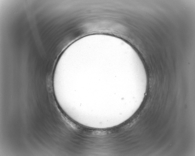 X0000068261521200605121807