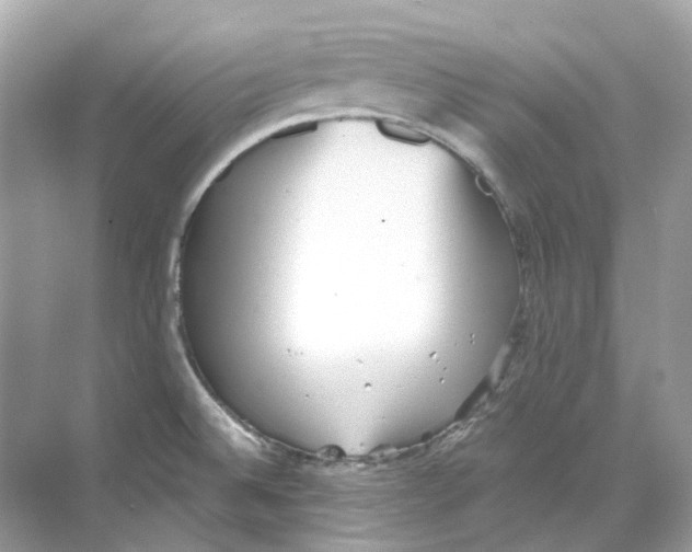 X0000068261524200605121807