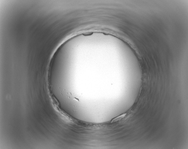 X0000068261530200605121807