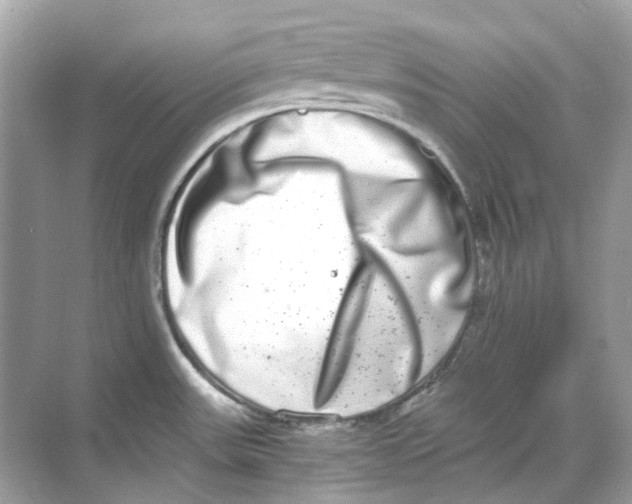 X0000068261531200605121807