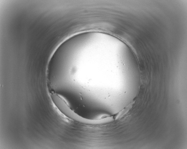 X0000068261532200605121807