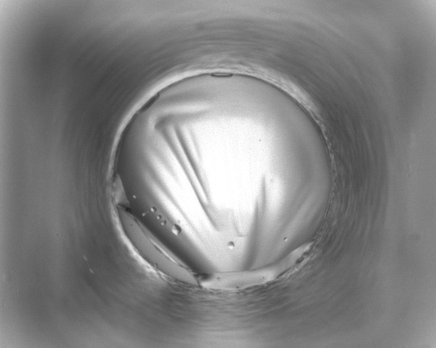 X0000068261536200605121807