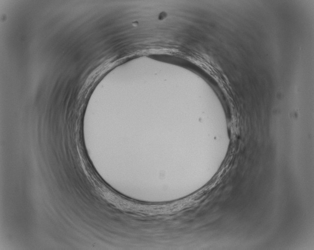 X0000068260001200605191814