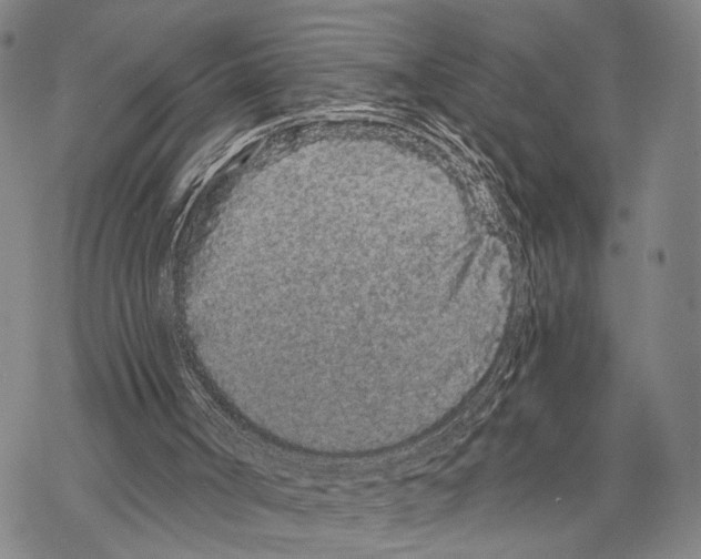 X0000068260002200605191814