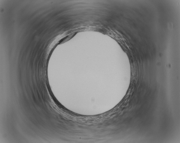 X0000068260003200605191814