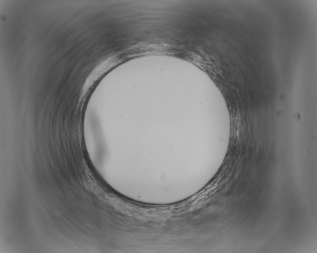 X0000068260004200605191814