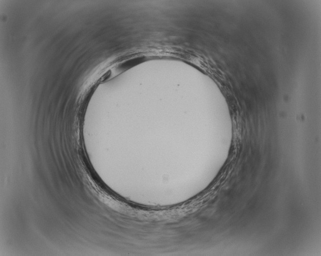 X0000068260005200605191814